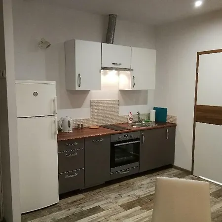 Apartment Przy Lesie *